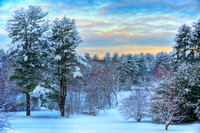 Blue Winter Morning.jpg